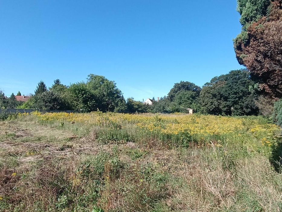 Koszenie traw,wycinki,glebogryzarki