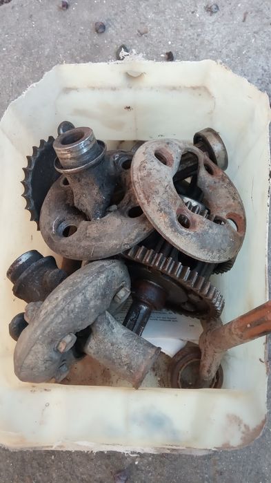 муравей инвалидка  кпп