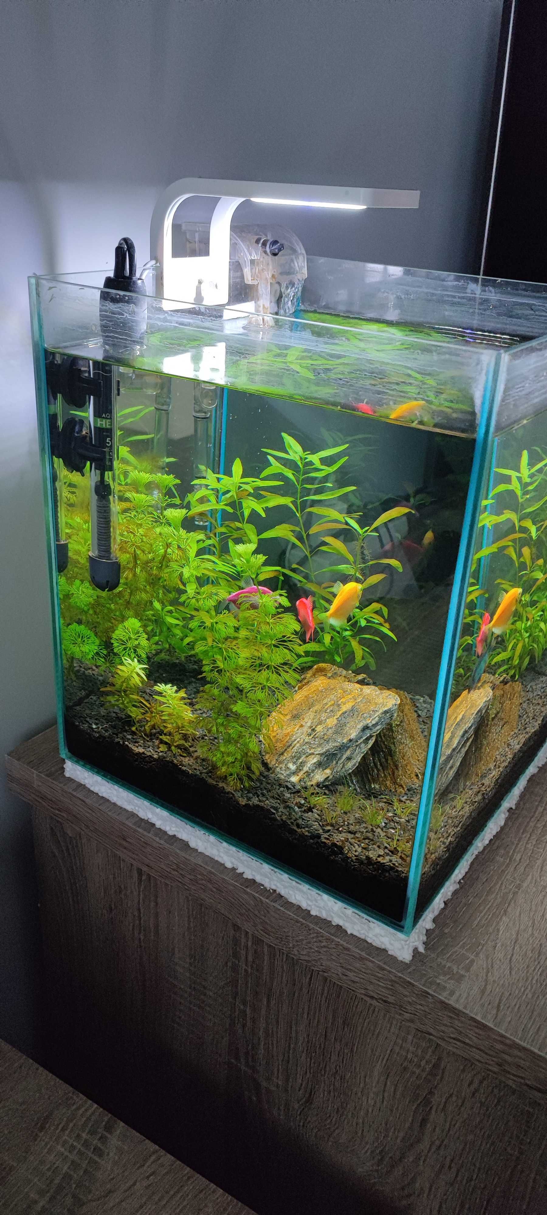 Akwarium kostka 30l