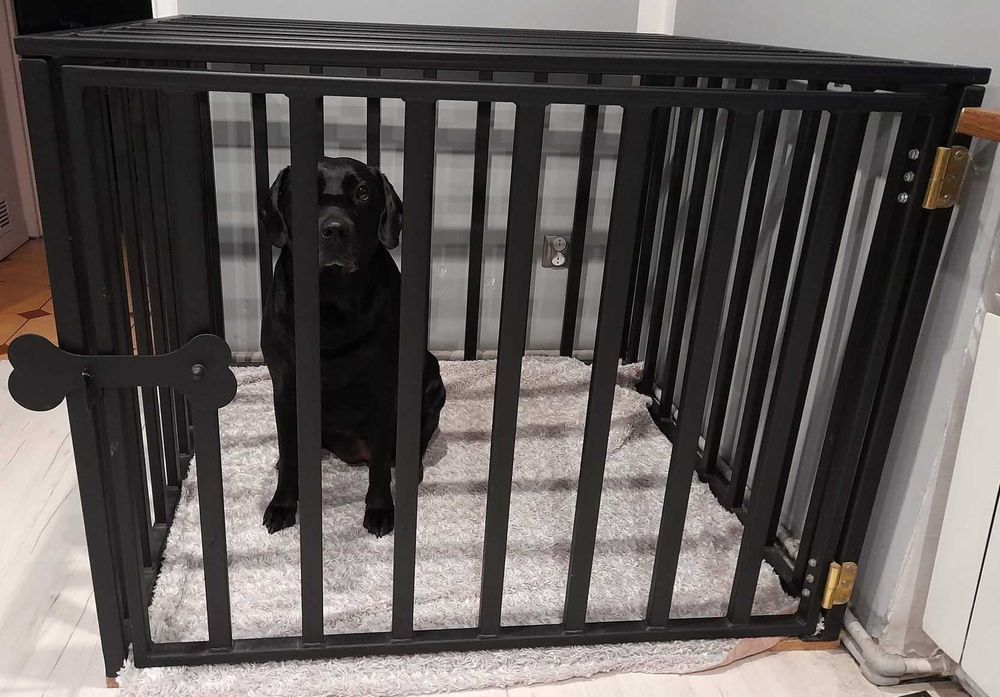 Klatka dla psa, Kojec, Buda, Boks, Klatki, Pokoik na zamówienie MOCNE