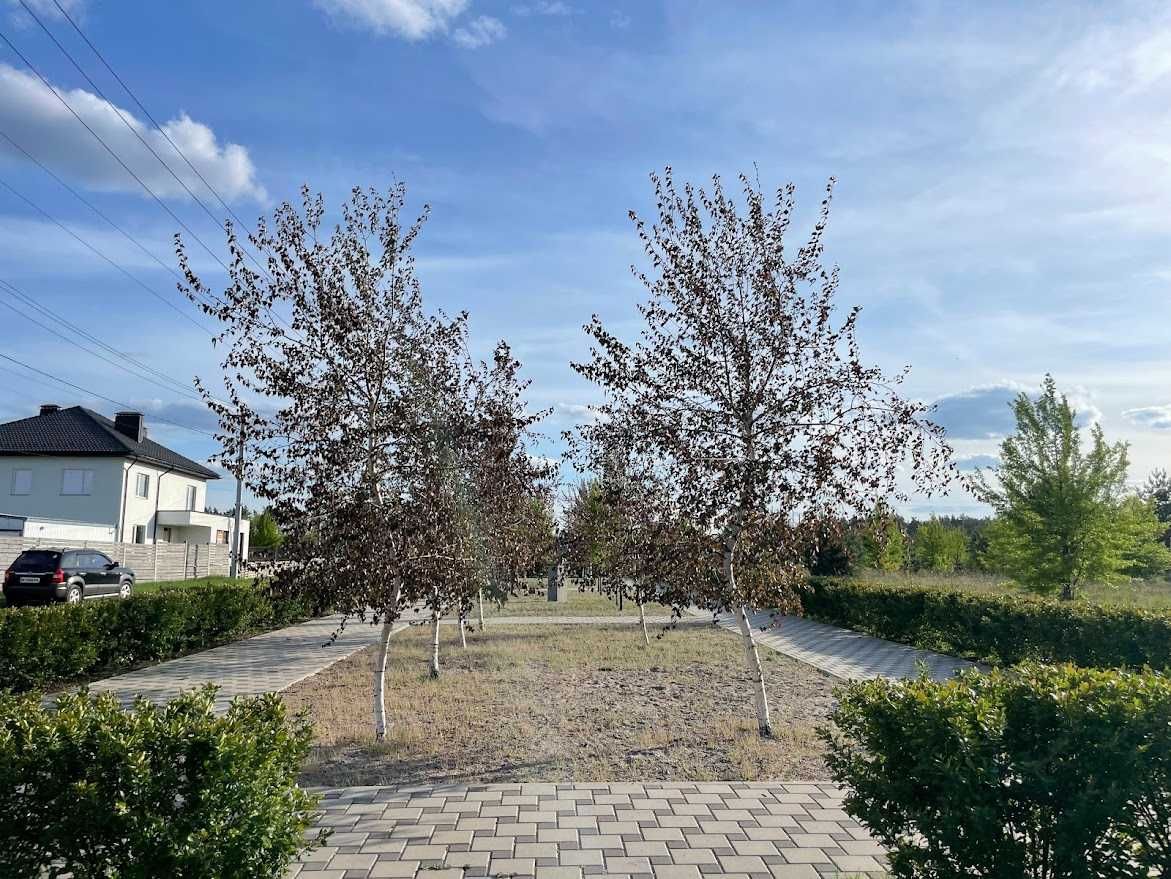 Продаж ділянки у с. Бобриця, вул.Лугова—біля скверу "Бобрицький заєць