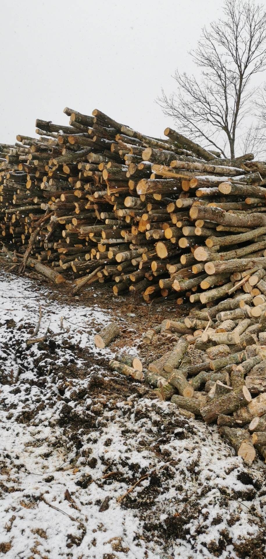 Sprzedam drewno opałowe