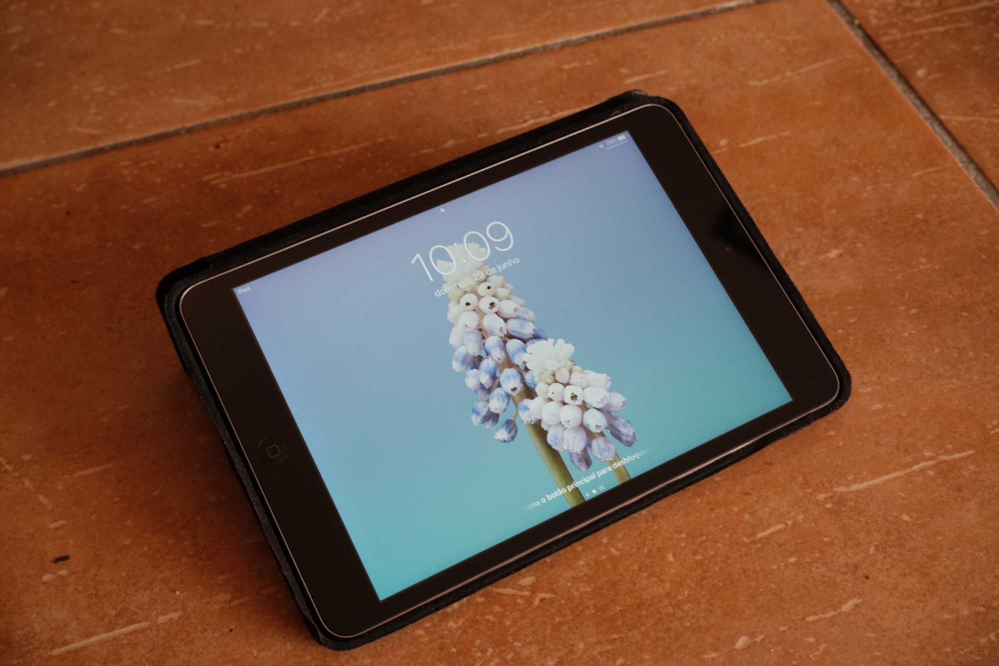 iPad Mini 2 – Muito Bem Conservado + Capa + Carregador Original