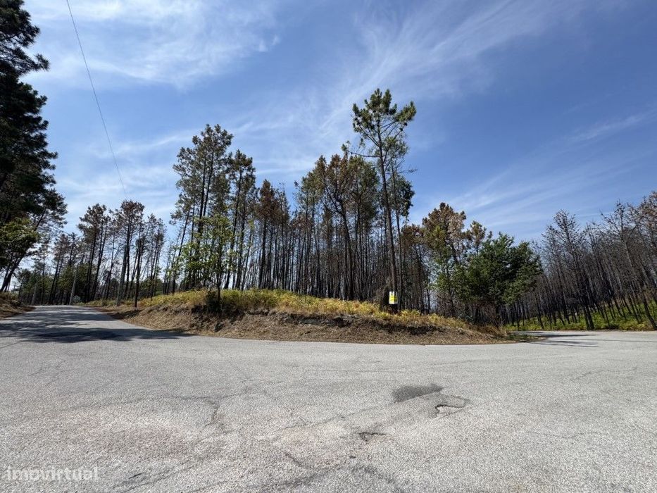 Terreno para venda em Mões - Castro Daire