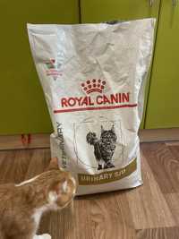 Royal canin urinary s/o для котів