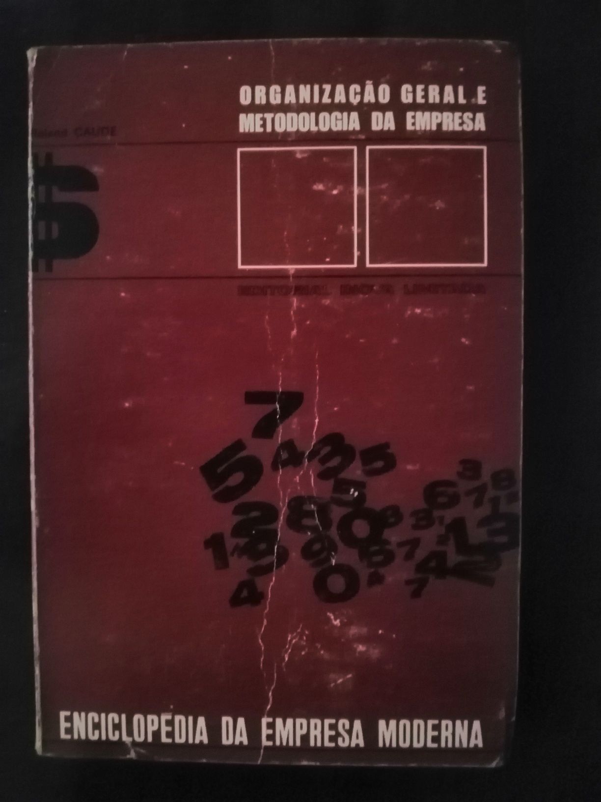 Organização Geral e Metedologia da Empresa.