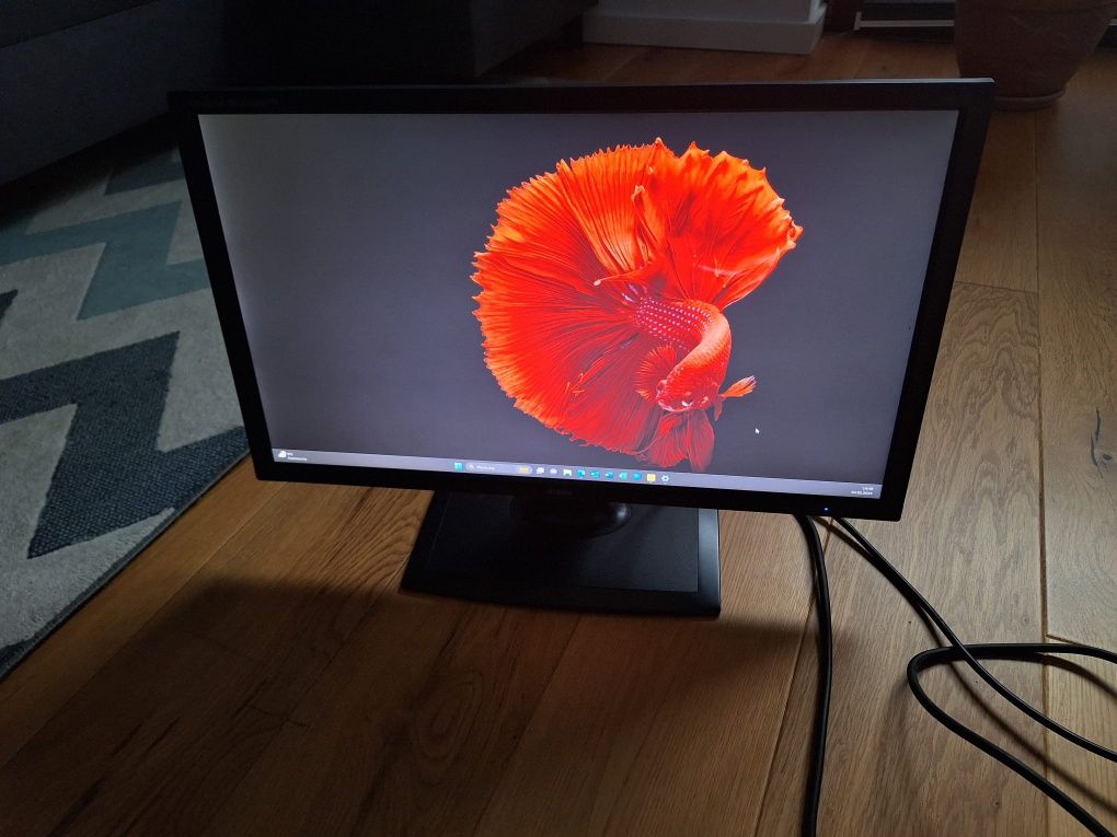 Monitor gamingowy IIyama ProLite