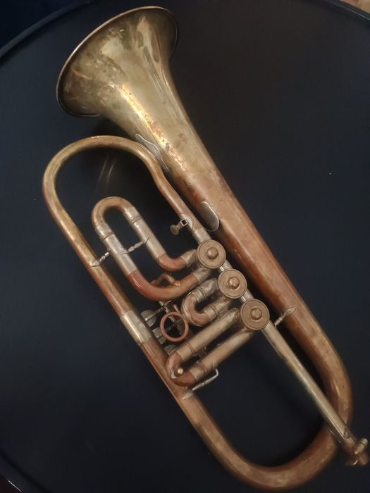 Trąbka boczna Skrzydłówka Kornet Weltklang