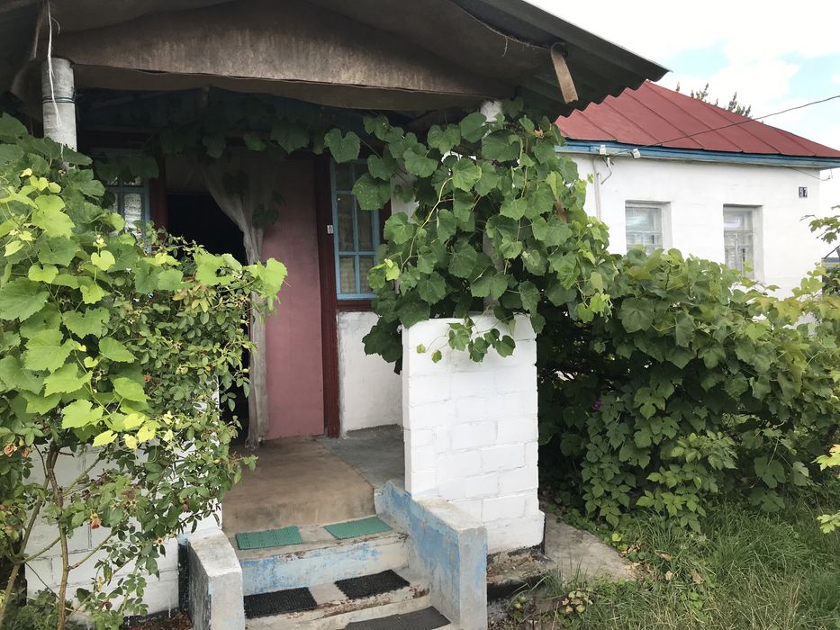 Продається будинок , Черкаська область , с Орловець