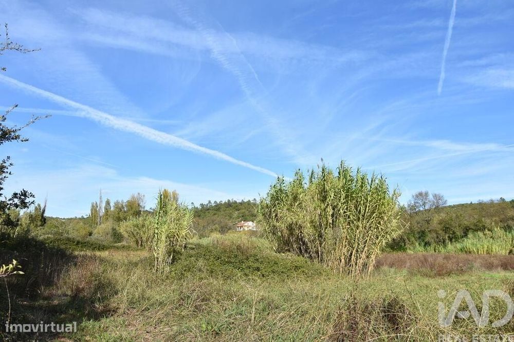 Terreno Agrícola em Freixianda, Ribeira do Fárrio e Formigais