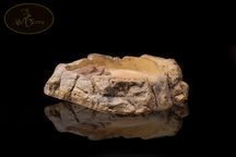 BASEN miska do terrarium 27x22,5x5,5 cm AlleTerra 06S