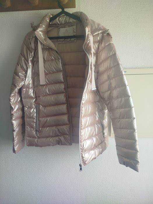 Kispo novo muito giro