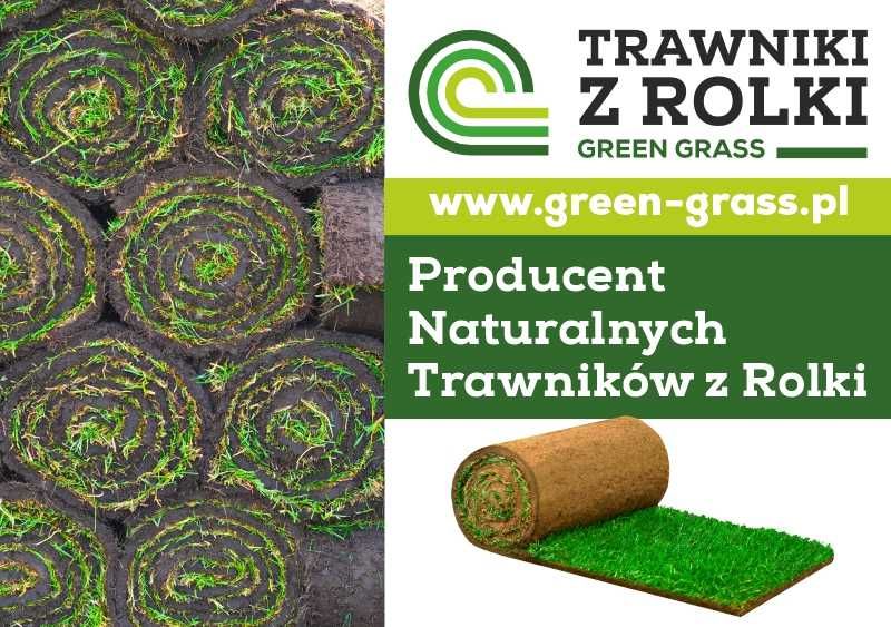 Trawniki z rolki Green Grass/Trawa plantacja/Producent