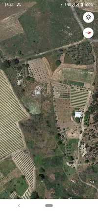 Terreno 10491m2 Agrícola Com árvores de fruto  e Poço e charca