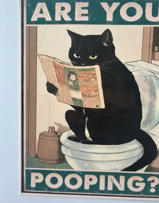 Plakat A3, zabawna ozdoba do łazienki, 30/40 cm