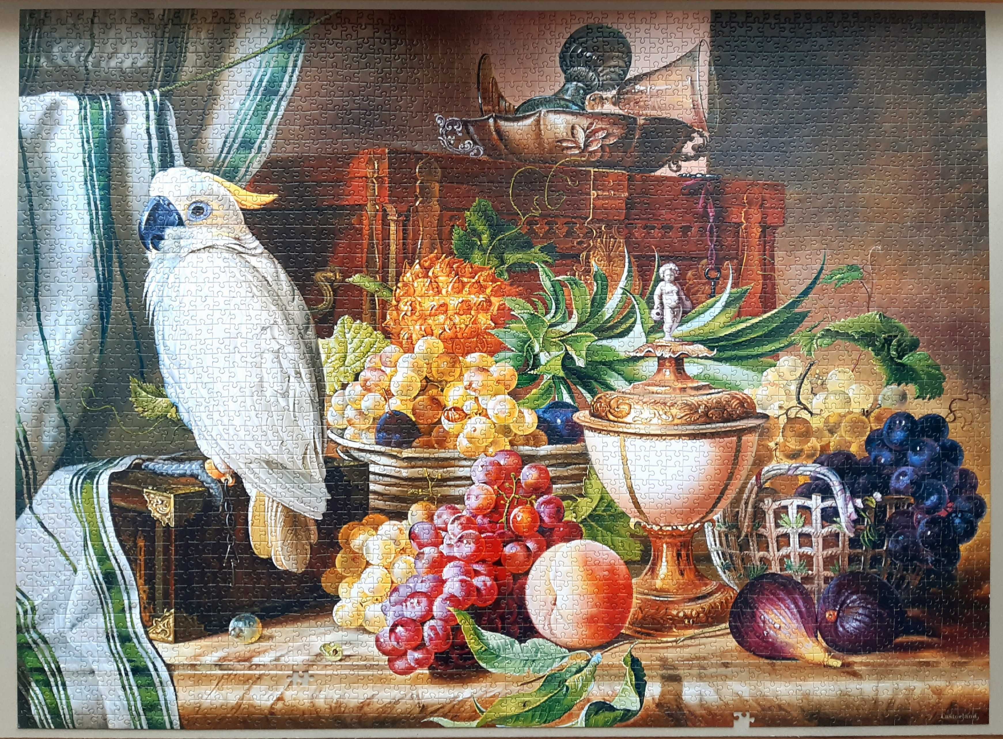 puzzle Castorland 3000