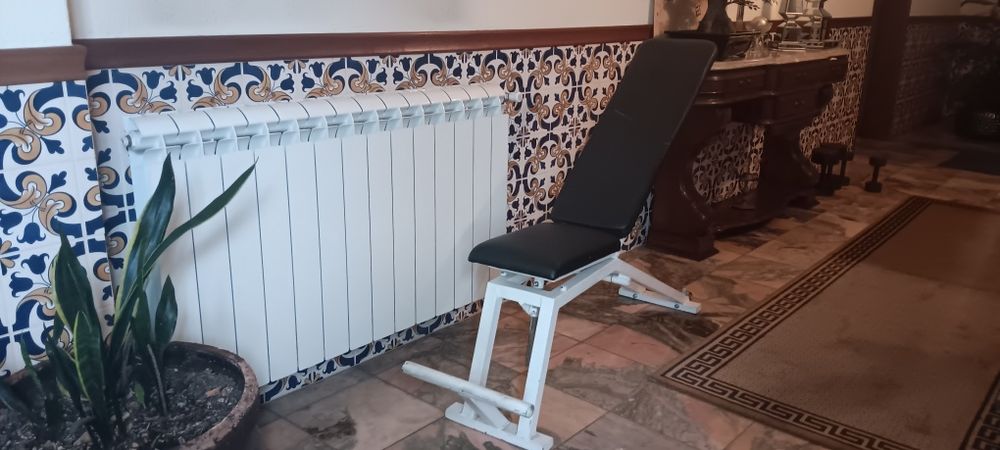 Banco  musculação