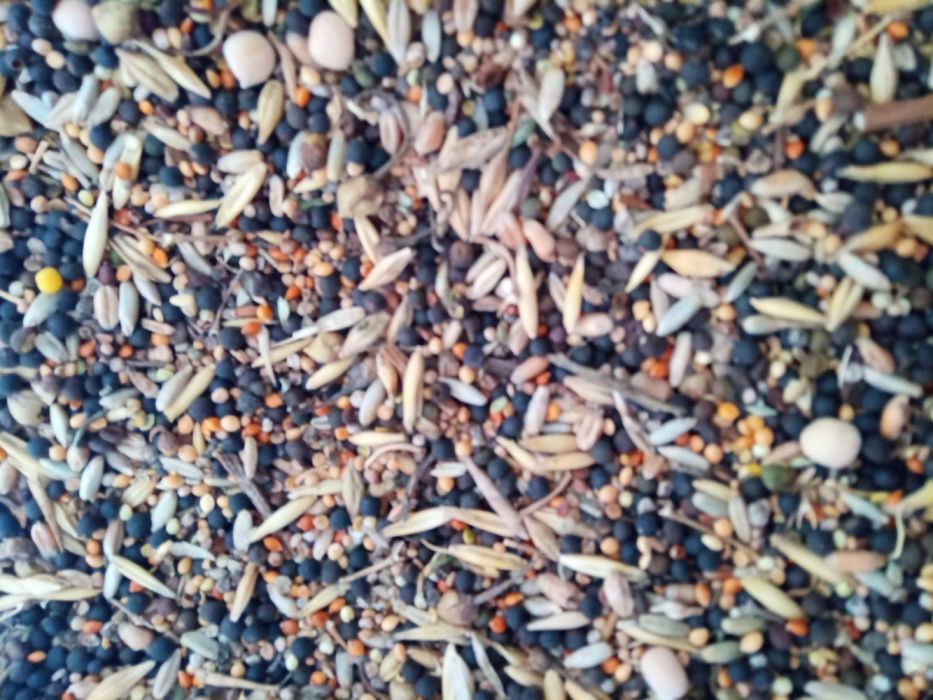 Суміш на сидерат