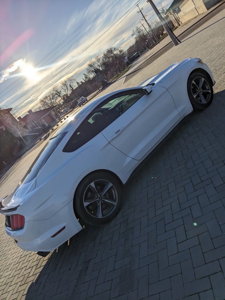 Mustang 2.3 Ecoboost 315 hp 2015