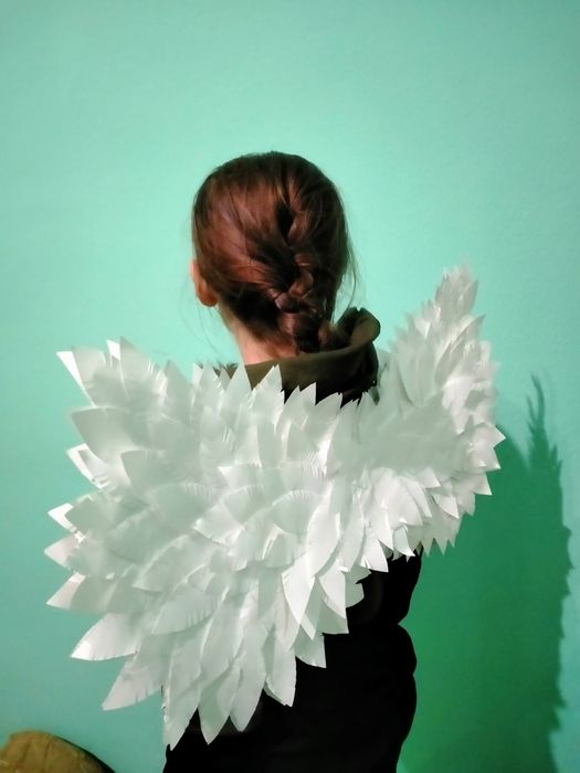 Прокат -крила янгола і німб