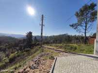 Terreno -  Dianteiro - Cova do Ouro