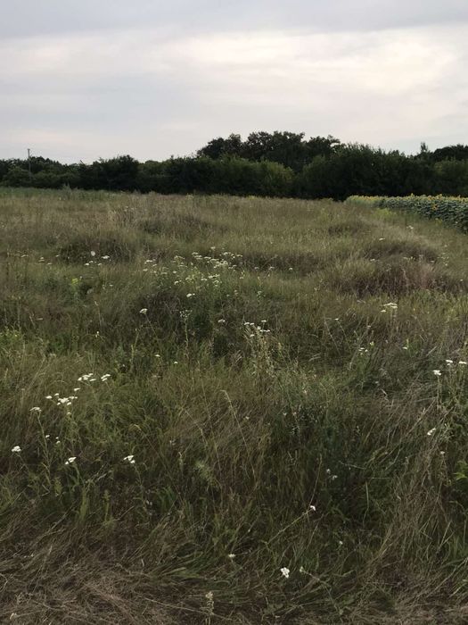 Земельна ділянка 23 сотки