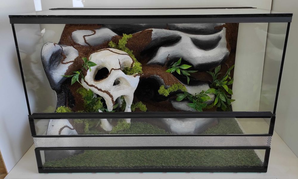 Terrarium dla gekona lamparciego, węża, TW37KCz, AquaWaves