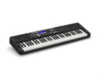 Casio CT-S500 keyboard CTS500