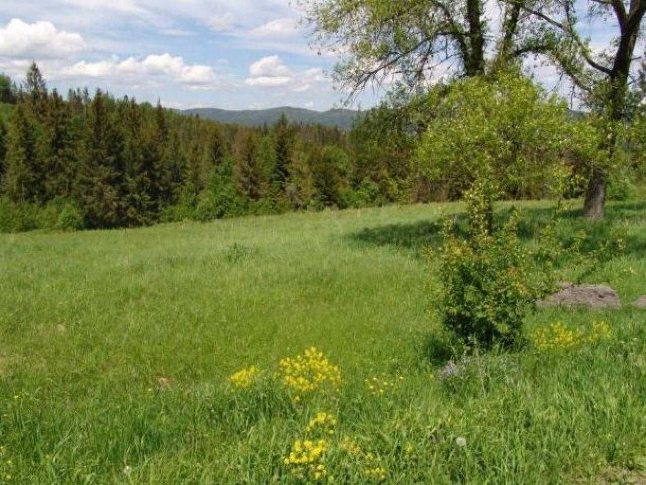 Продаж земельної ділянки, с. Тухолька ( Плай)