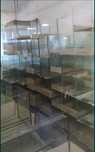 Akwaria standardowe
