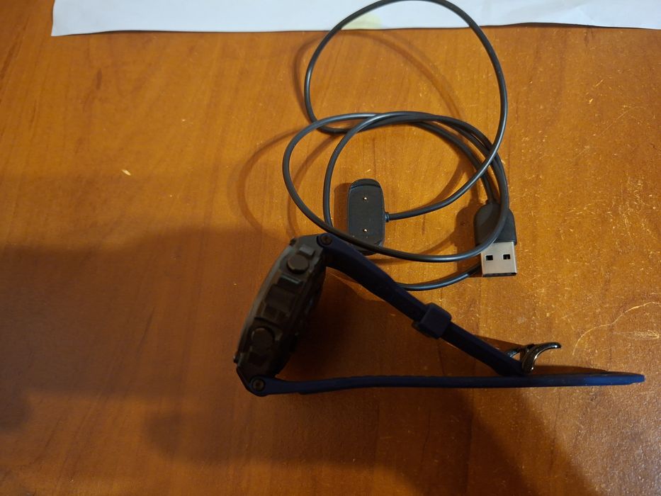 Azamfit t-rex.     .