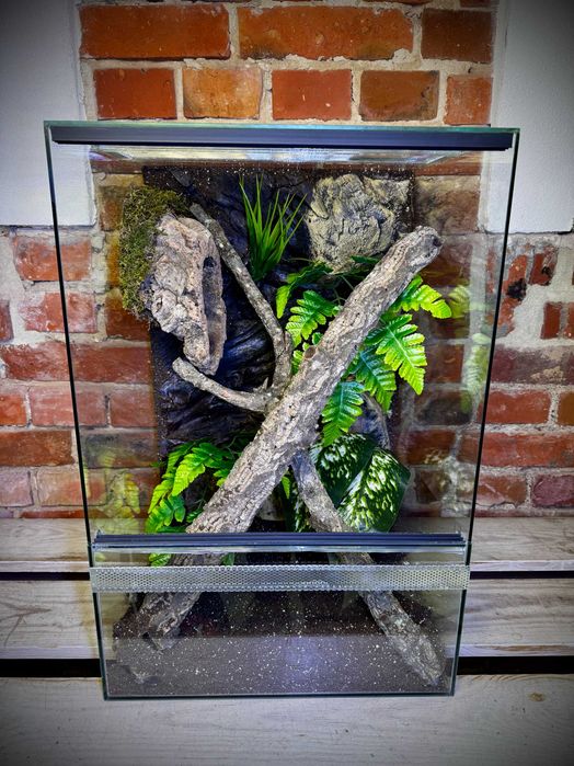 Terrarium szklane z leśnym wystrojem 40x40x60 cm. AlleTerra
