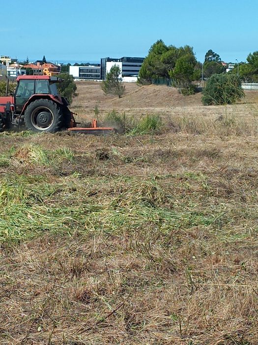 Limpezas de terrenos... Orçamentos grátis