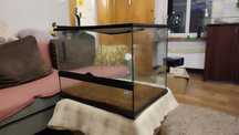 Terarium dla jaszczurki
