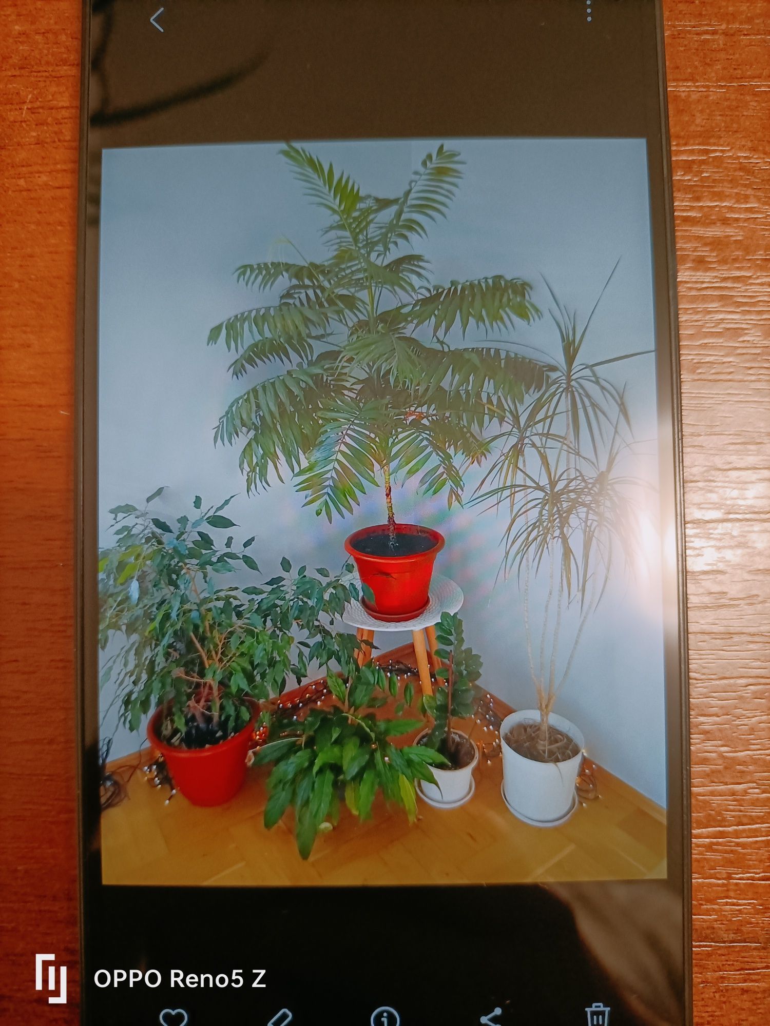 Samsung Galaxy A05s