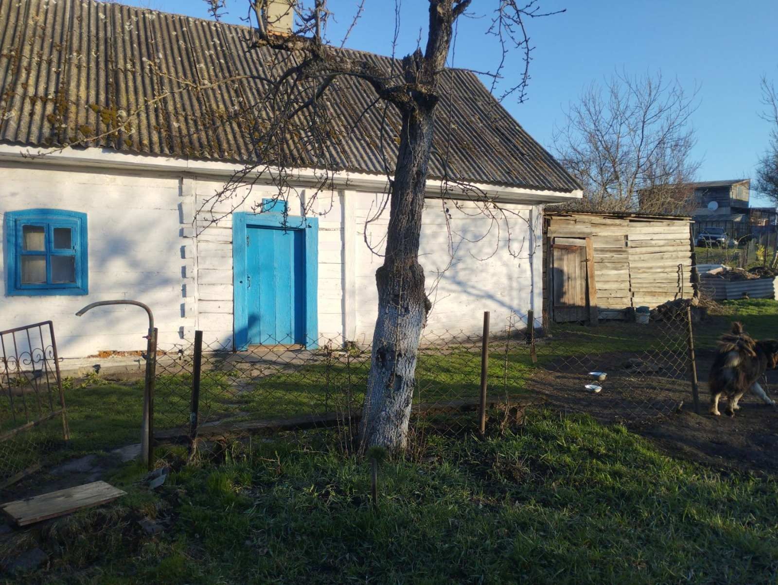 Будинок з земельною ділянкою
