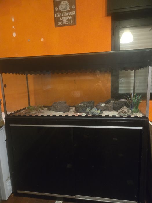 Aquário com móvel 1,5 m