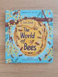 Look inside the world of bees Usborne