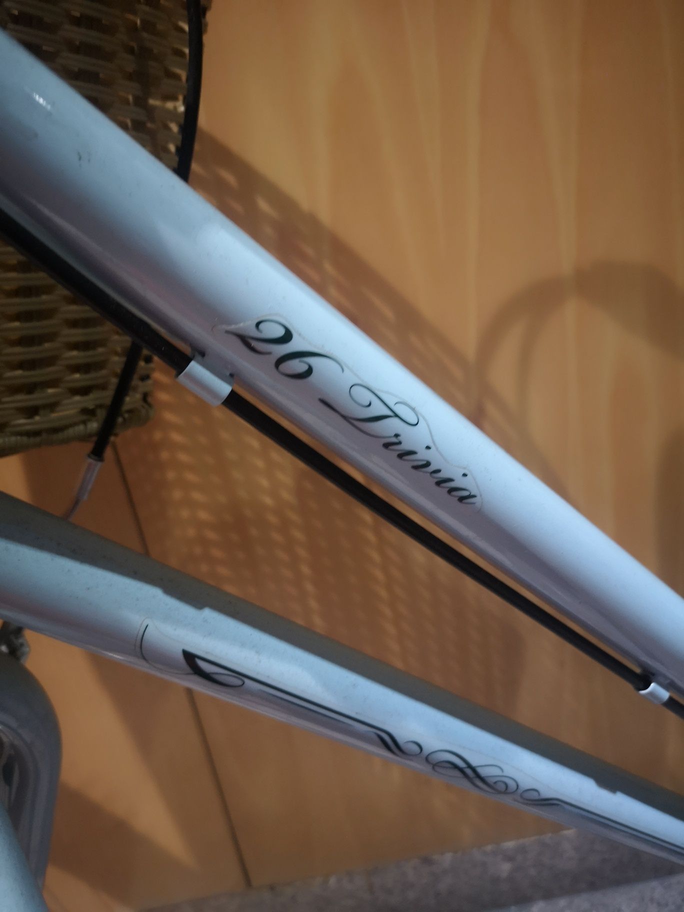 Bicicleta Megano Trivia 26