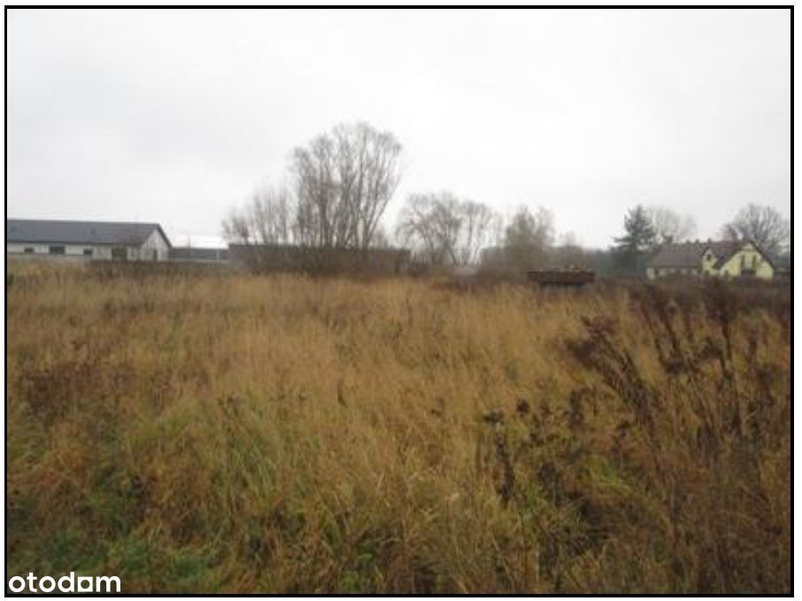 Syndyk sprzeda udziały w nieruchomościach - obniżona cena