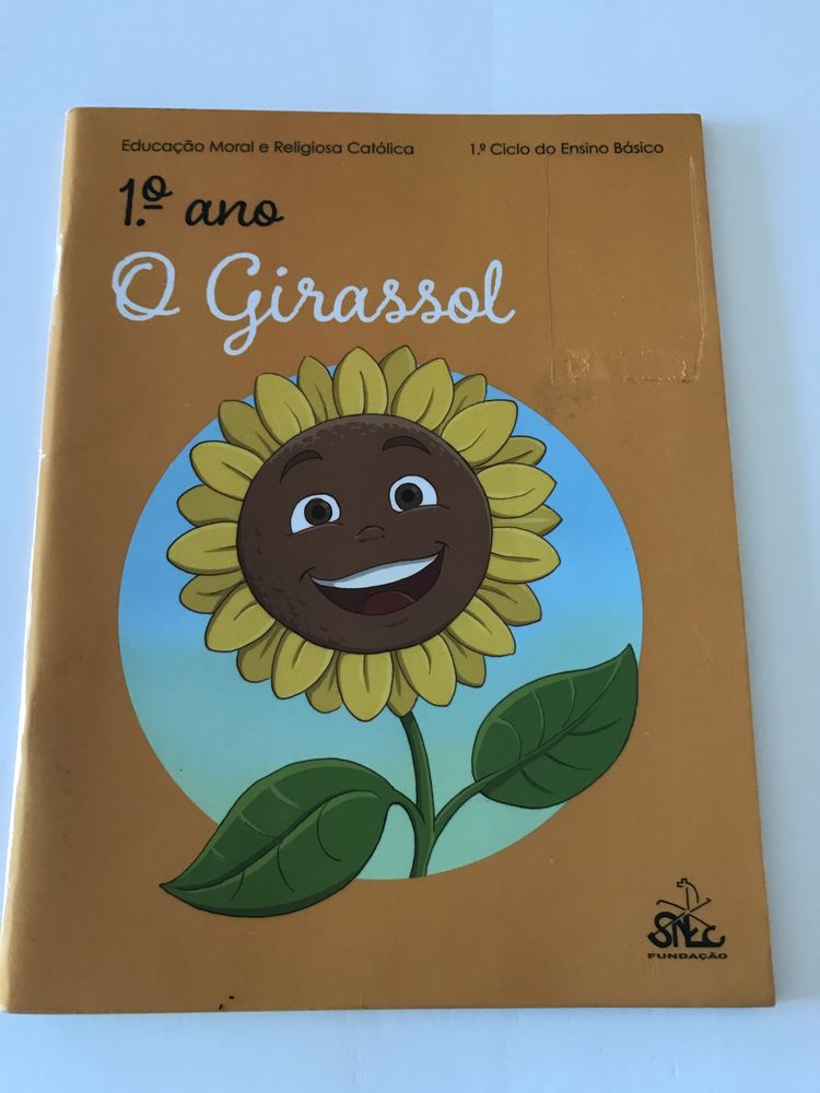 Manual 1 ano educação moral e religiosa católica