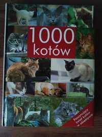 1000 kotów Fascynujący świat kotów w obiektywie książka PROMOCJA