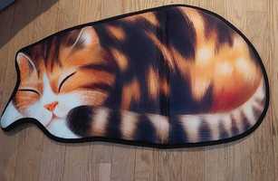 Рудий кіт килим коврик