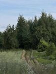 Продаж/Земля/Садівництво/с. Годовиця/Пустомитівський район/Львів. обл.
