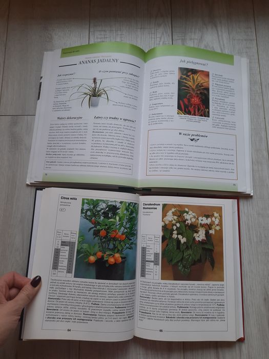 Książki o kwiatach doniczkowych