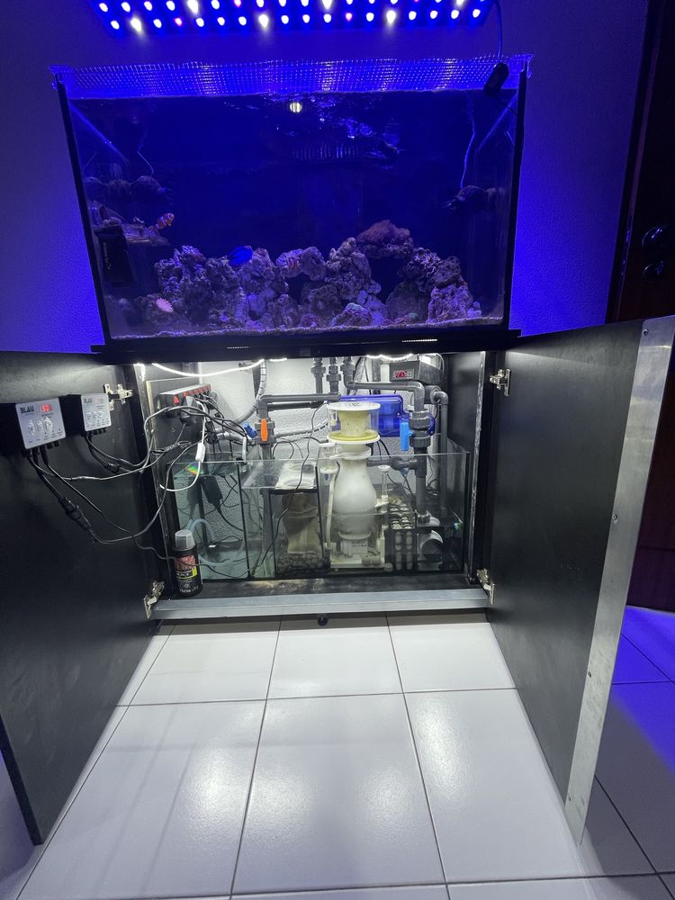 PARA DESPACHAR Aquário agua salgada + sump + Bomba + movel + estrutura