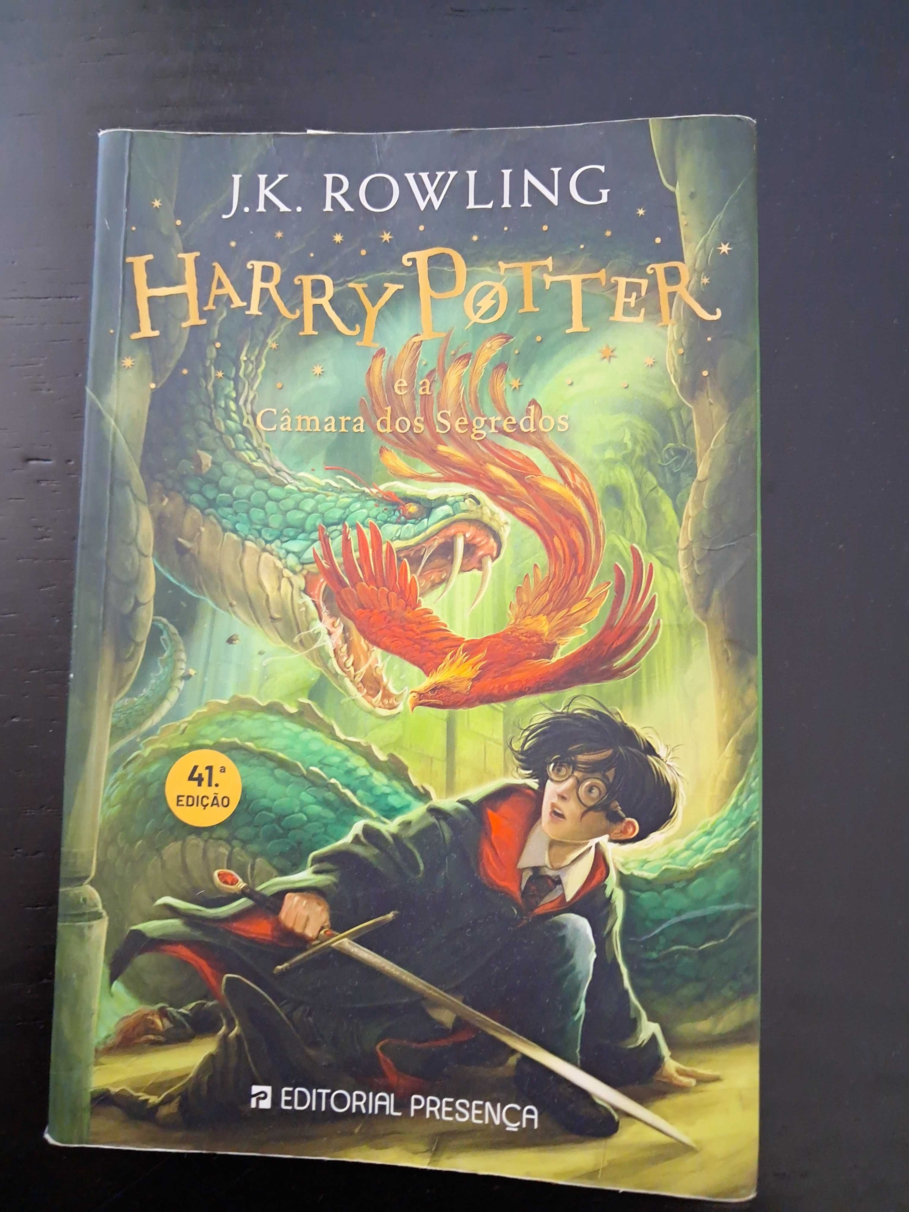 Livro Harry Potter