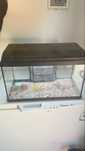 Aquario medio 56 litros