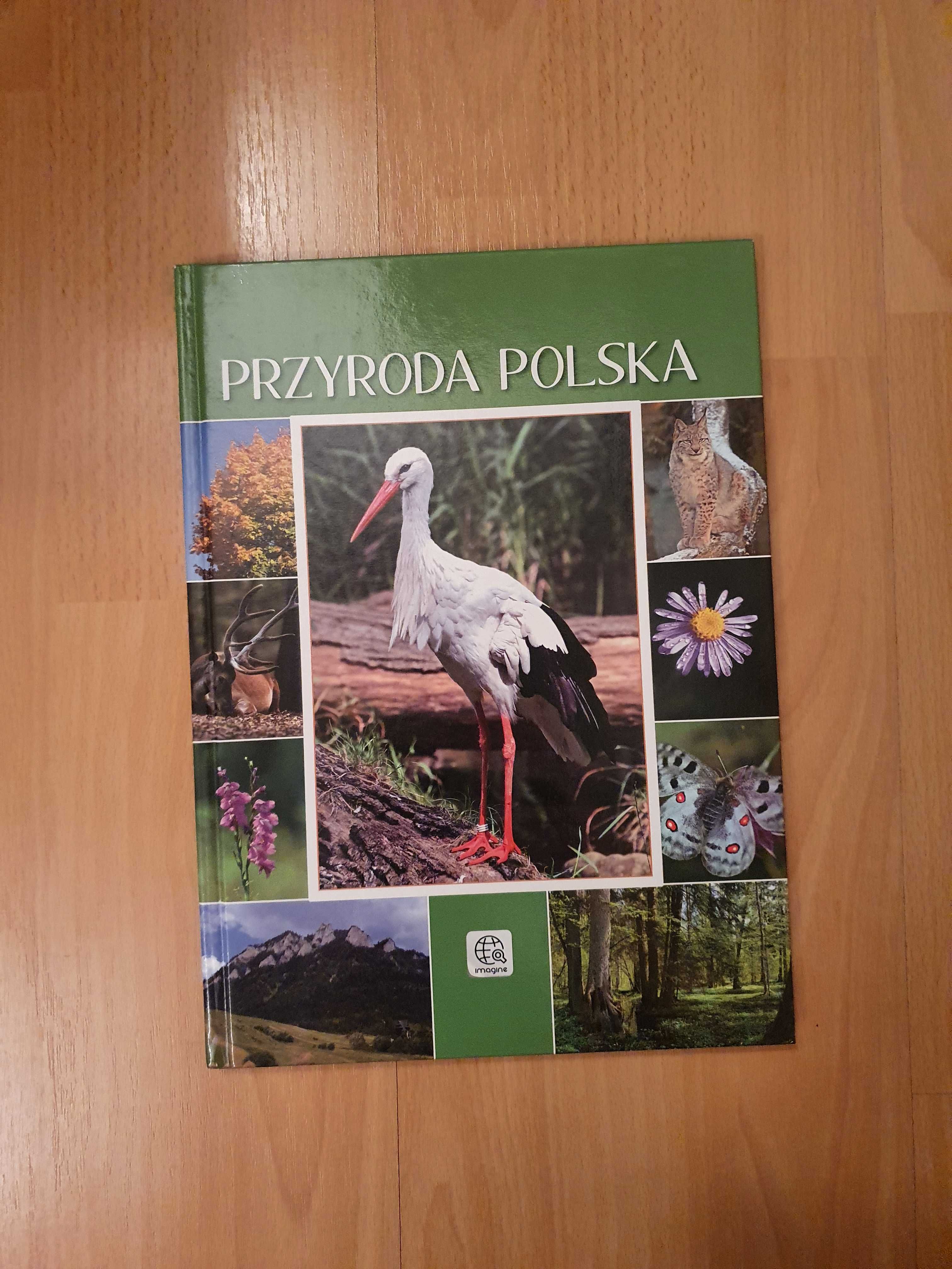 książka ilustrowana przyroda polska książka przyrodnicza dragon
