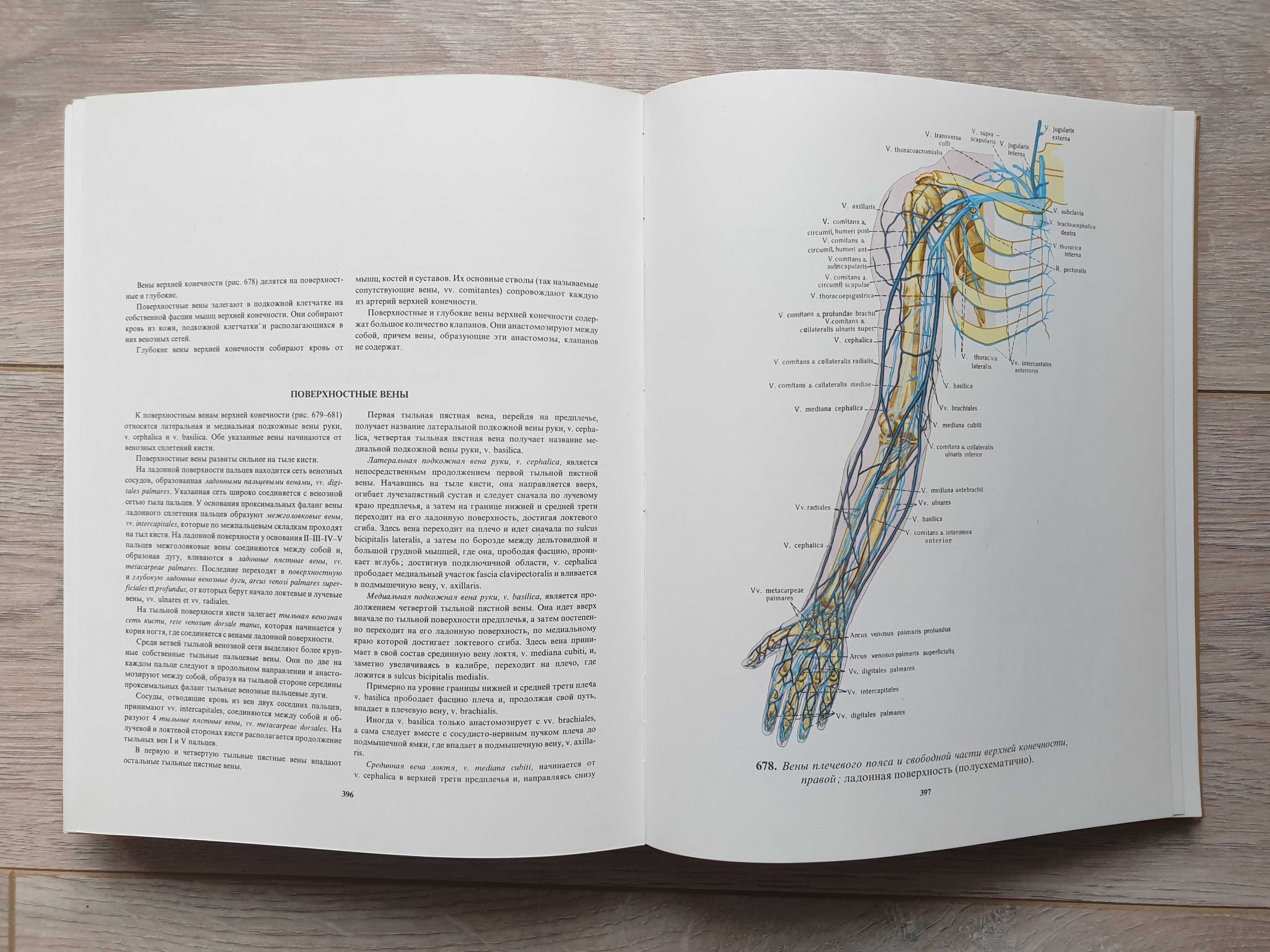 Атлас анатомии человека. Р. Д. Синельников. 1979 год